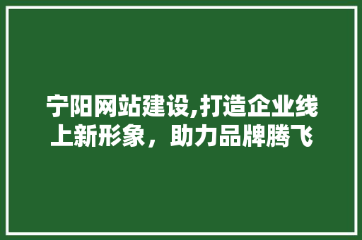 宁阳网站建设,打造企业线上新形象，助力品牌腾飞