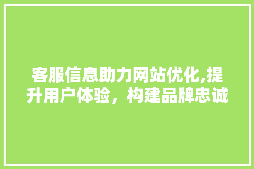 客服信息助力网站优化,提升用户体验，构建品牌忠诚度 客服信息助力网站优化,提升用户体验，构建品牌忠诚度 网站开发