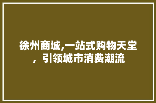 徐州商城,一站式购物天堂，引领城市消费潮流