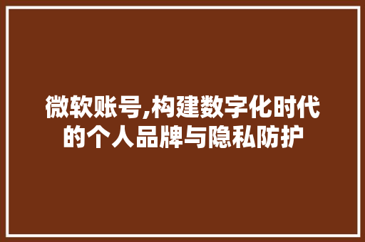 微软账号,构建数字化时代的个人品牌与隐私防护