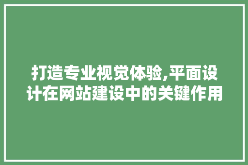 打造专业视觉体验,平面设计在网站建设中的关键作用