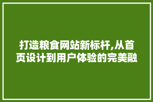 打造粮食网站新标杆,从首页设计到用户体验的完美融合