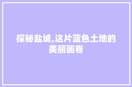 探秘盐城,这片蓝色土地的美丽画卷