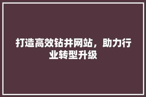 打造高效钻井网站，助力行业转型升级