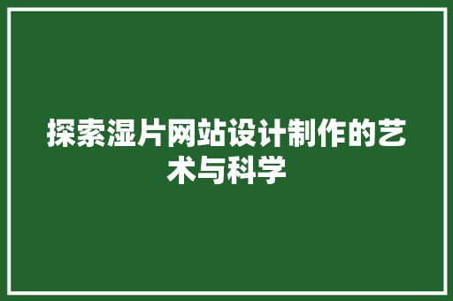探索湿片网站设计制作的艺术与科学