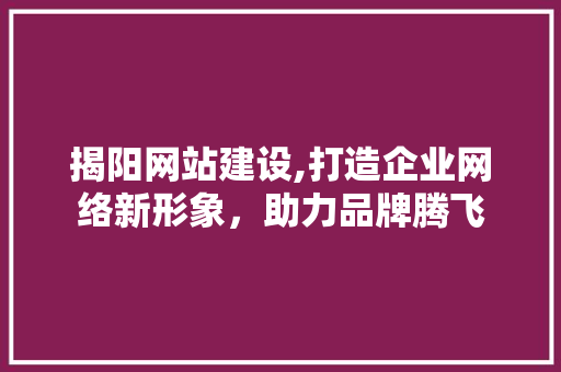 揭阳网站建设,打造企业网络新形象，助力品牌腾飞