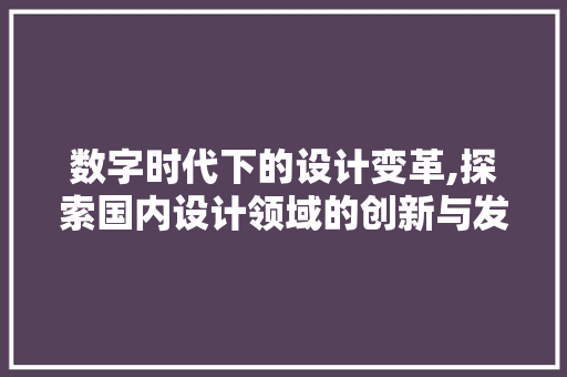 数字时代下的设计变革,探索国内设计领域的创新与发展