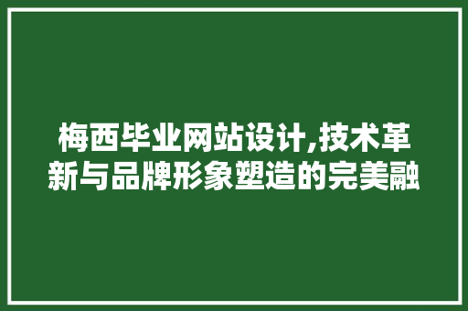 梅西毕业网站设计,技术革新与品牌形象塑造的完美融合