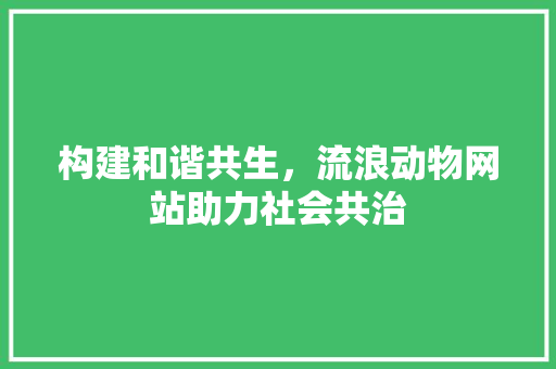 构建和谐共生，流浪动物网站助力社会共治