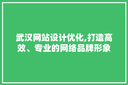 武汉网站设计优化,打造高效、专业的网络品牌形象