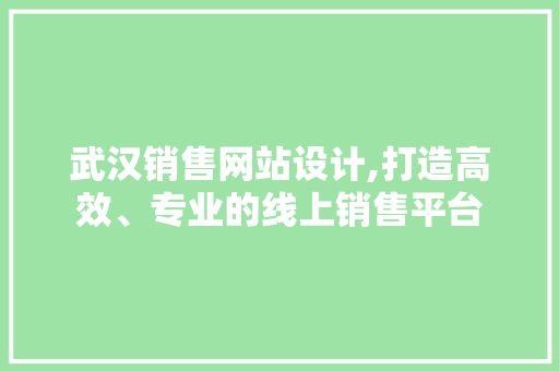 武汉销售网站设计,打造高效、专业的线上销售平台