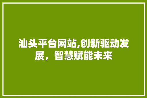 汕头平台网站,创新驱动发展，智慧赋能未来