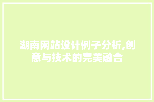湖南网站设计例子分析,创意与技术的完美融合