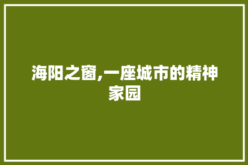 海阳之窗,一座城市的精神家园