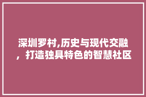 深圳罗村,历史与现代交融，打造独具特色的智慧社区