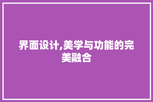 界面设计,美学与功能的完美融合