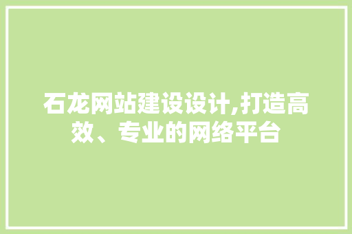 石龙网站建设设计,打造高效、专业的网络平台