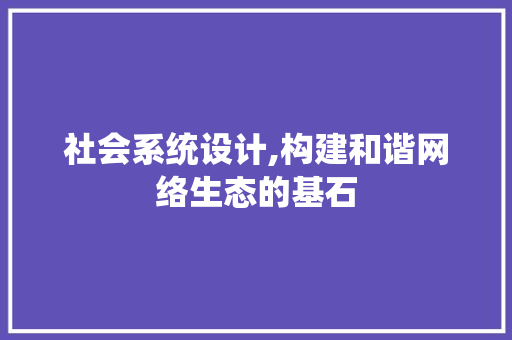 社会系统设计,构建和谐网络生态的基石