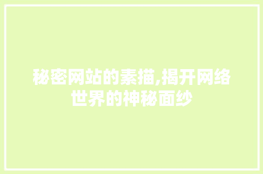 秘密网站的素描,揭开网络世界的神秘面纱