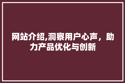 网站介绍,洞察用户心声，助力产品优化与创新