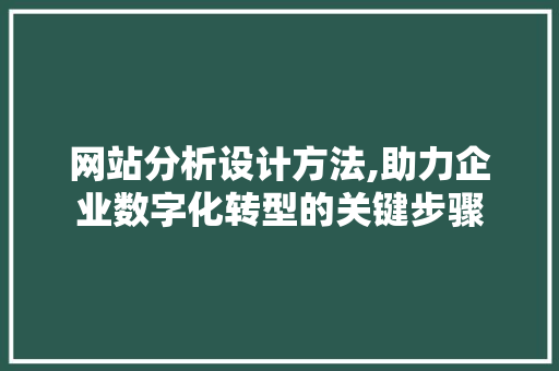 网站分析设计方法,助力企业数字化转型的关键步骤 网站分析设计方法,助力企业数字化转型的关键步骤 seo技术