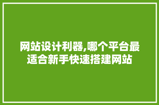 网站设计利器,哪个平台最适合新手快速搭建网站