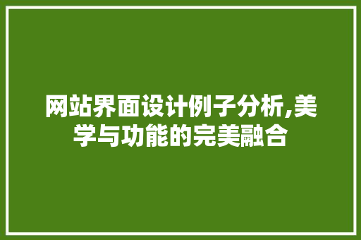 网站界面设计例子分析,美学与功能的完美融合