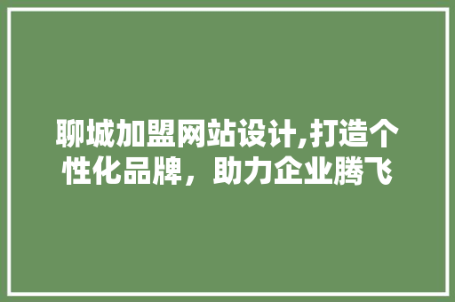 聊城加盟网站设计,打造个性化品牌，助力企业腾飞