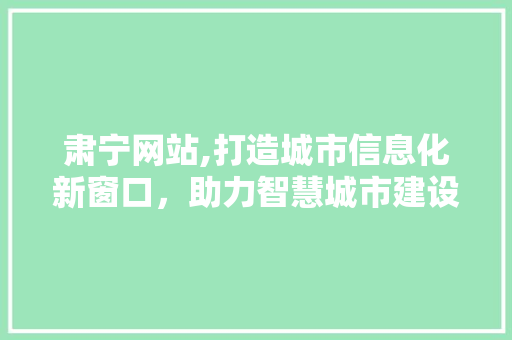 肃宁网站,打造城市信息化新窗口，助力智慧城市建设