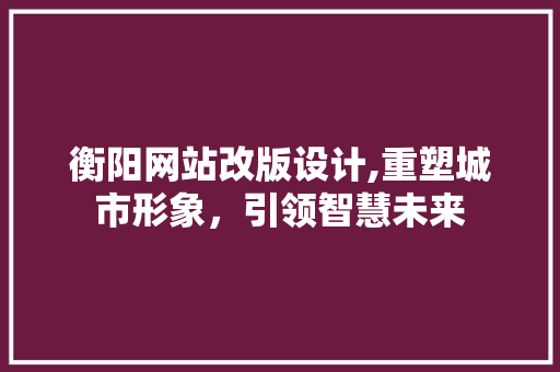 衡阳网站改版设计,重塑城市形象，引领智慧未来