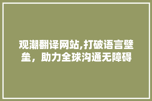 观潮翻译网站,打破语言壁垒，助力全球沟通无障碍