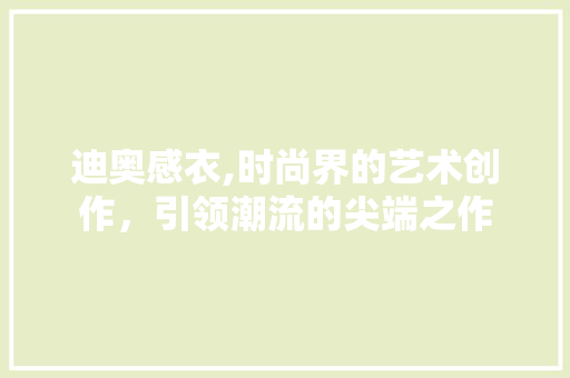 迪奥感衣,时尚界的艺术创作，引领潮流的尖端之作