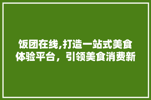饭团在线,打造一站式美食体验平台，引领美食消费新潮流 饭团在线,打造一站式美食体验平台，引领美食消费新潮流 seo技术