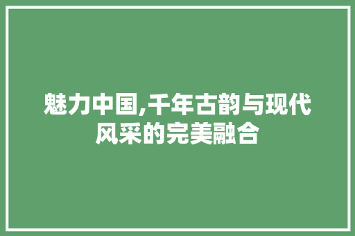 魅力中国,千年古韵与现代风采的完美融合 魅力中国,千年古韵与现代风采的完美融合 百度算法
