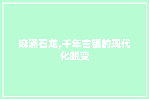 麻涌石龙,千年古镇的现代化蜕变 麻涌石龙,千年古镇的现代化蜕变 seo技术