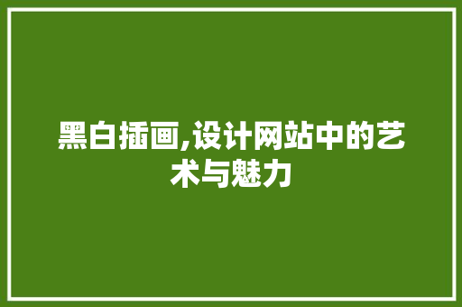 黑白插画,设计网站中的艺术与魅力 黑白插画,设计网站中的艺术与魅力 网站开发