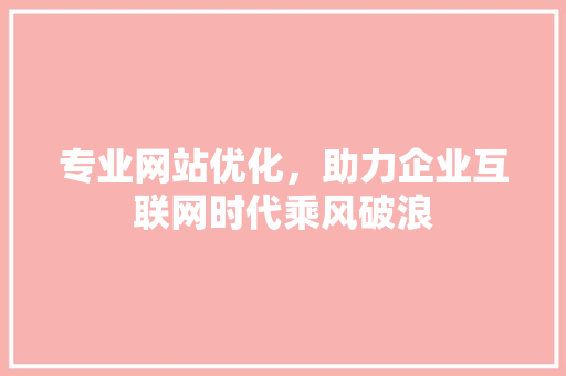 专业网站优化，助力企业互联网时代乘风破浪 专业网站优化，助力企业互联网时代乘风破浪 小程序开发