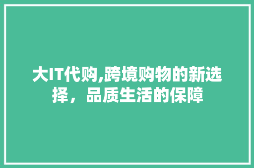 大IT代购,跨境购物的新选择，品质生活的保障