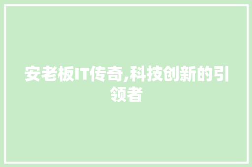 安老板IT传奇,科技创新的引领者
