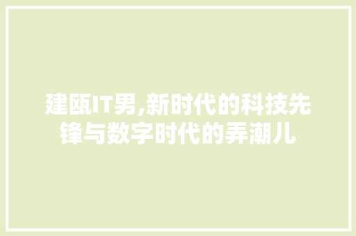建瓯IT男,新时代的科技先锋与数字时代的弄潮儿 网站优化