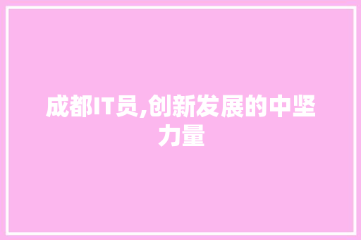 成都IT员,创新发展的中坚力量