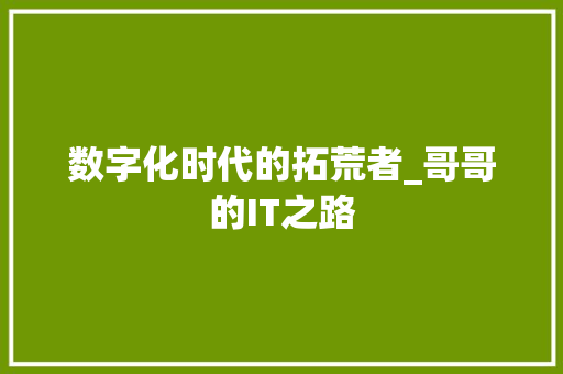 数字化时代的拓荒者_哥哥的IT之路