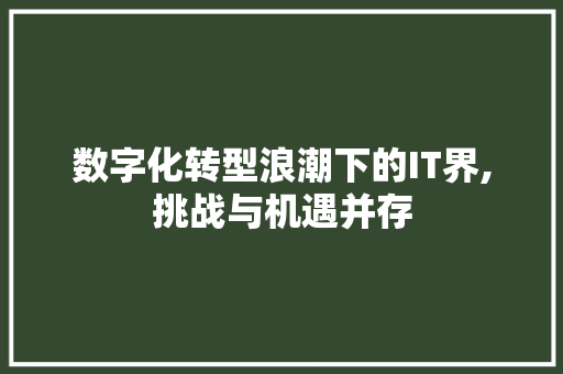 数字化转型浪潮下的IT界,挑战与机遇并存