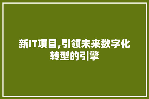 新IT项目,引领未来数字化转型的引擎