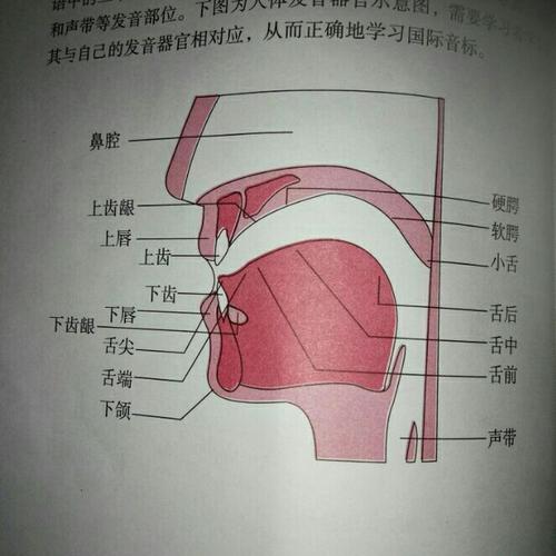 字母的力量,解码人类智慧的密码 字母的力量,解码人类智慧的密码 网站优化