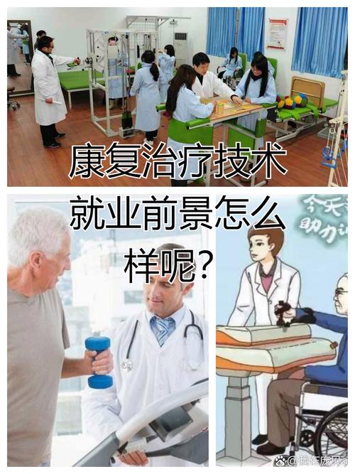 康复科网站,打造全方位康复服务的信息平台 康复科网站,打造全方位康复服务的信息平台 百度算法