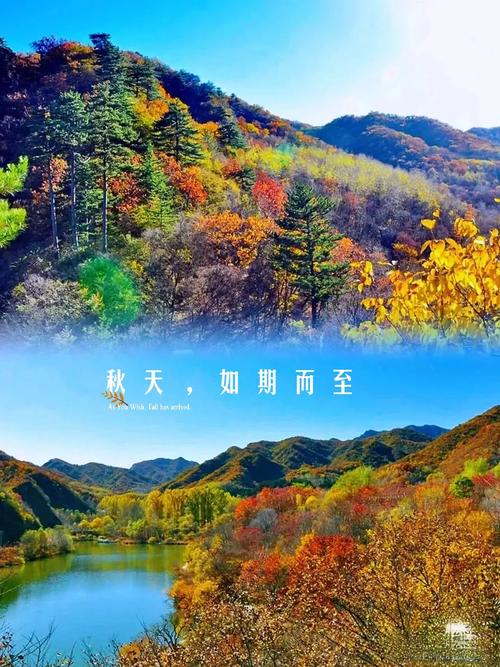 探寻延庆之美,文化与自然的完美融合 探寻延庆之美,文化与自然的完美融合 网站优化
