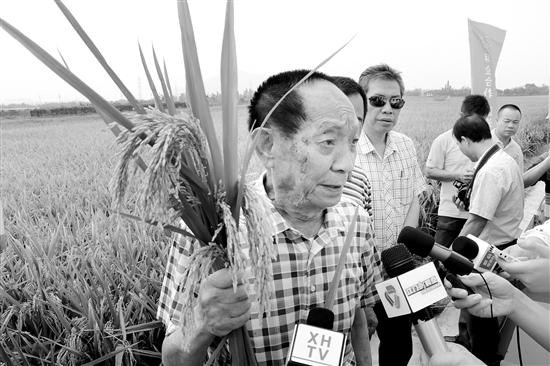 袁隆平,中国农业科技领域的璀璨明珠 袁隆平,中国农业科技领域的璀璨明珠 搜狗优化