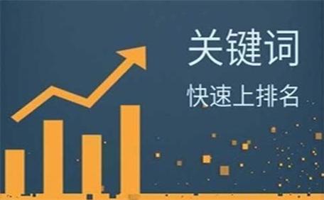 SEO建站赚钱攻略,如何利用搜索引擎优化实现财富增长 SEO建站赚钱攻略,如何利用搜索引擎优化实现财富增长 网站开发
