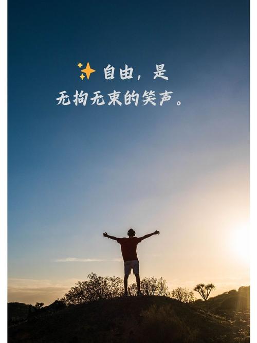 拥抱自由，畅享免费,浏览器时代的变革之旅 拥抱自由，畅享免费,浏览器时代的变革之旅 搜狗优化